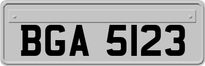 BGA5123
