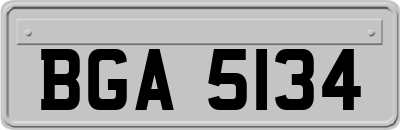 BGA5134