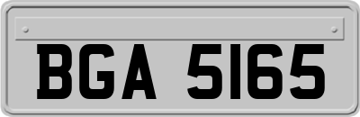 BGA5165