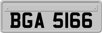 BGA5166