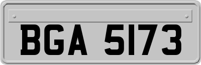 BGA5173