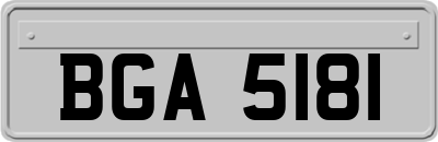 BGA5181