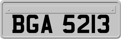 BGA5213