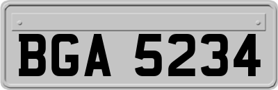 BGA5234