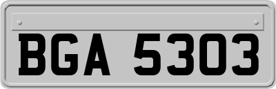BGA5303