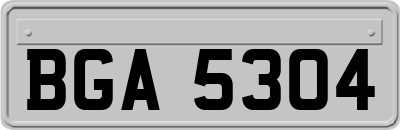 BGA5304