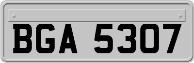 BGA5307