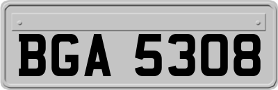BGA5308