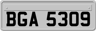 BGA5309