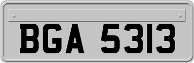 BGA5313