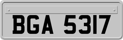 BGA5317