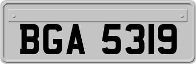 BGA5319