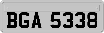 BGA5338