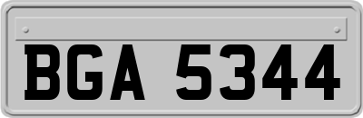 BGA5344