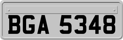 BGA5348