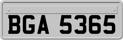 BGA5365