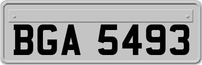 BGA5493