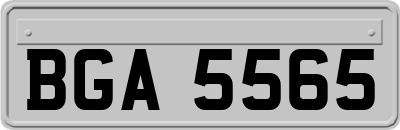 BGA5565