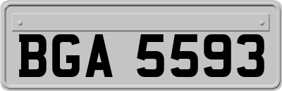 BGA5593