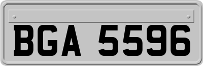 BGA5596