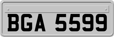 BGA5599