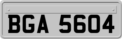 BGA5604