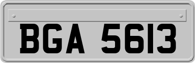 BGA5613