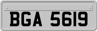 BGA5619