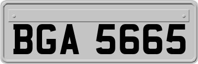 BGA5665
