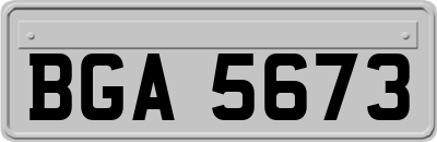 BGA5673