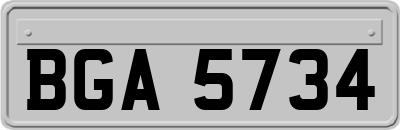 BGA5734