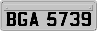 BGA5739