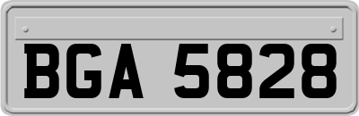 BGA5828