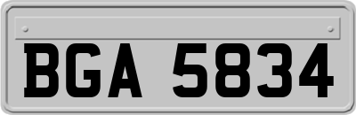 BGA5834
