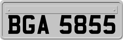 BGA5855