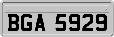 BGA5929