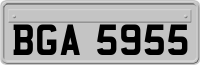 BGA5955