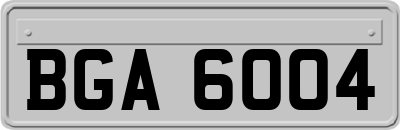 BGA6004