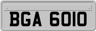 BGA6010