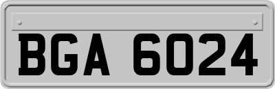 BGA6024
