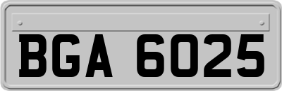 BGA6025