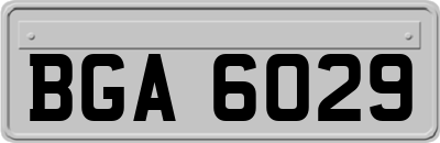 BGA6029