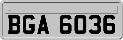 BGA6036