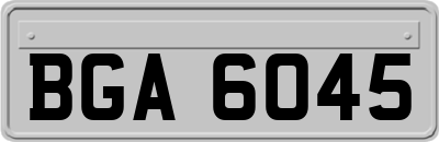 BGA6045