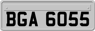 BGA6055