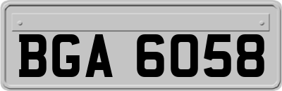 BGA6058