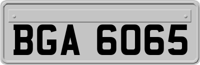 BGA6065