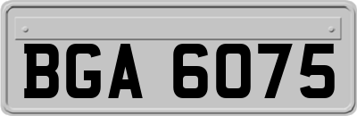 BGA6075