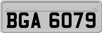 BGA6079