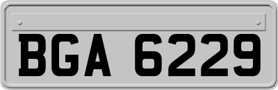 BGA6229